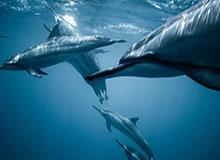 开云体育App：用数据点亮球场，用热情点燃生活